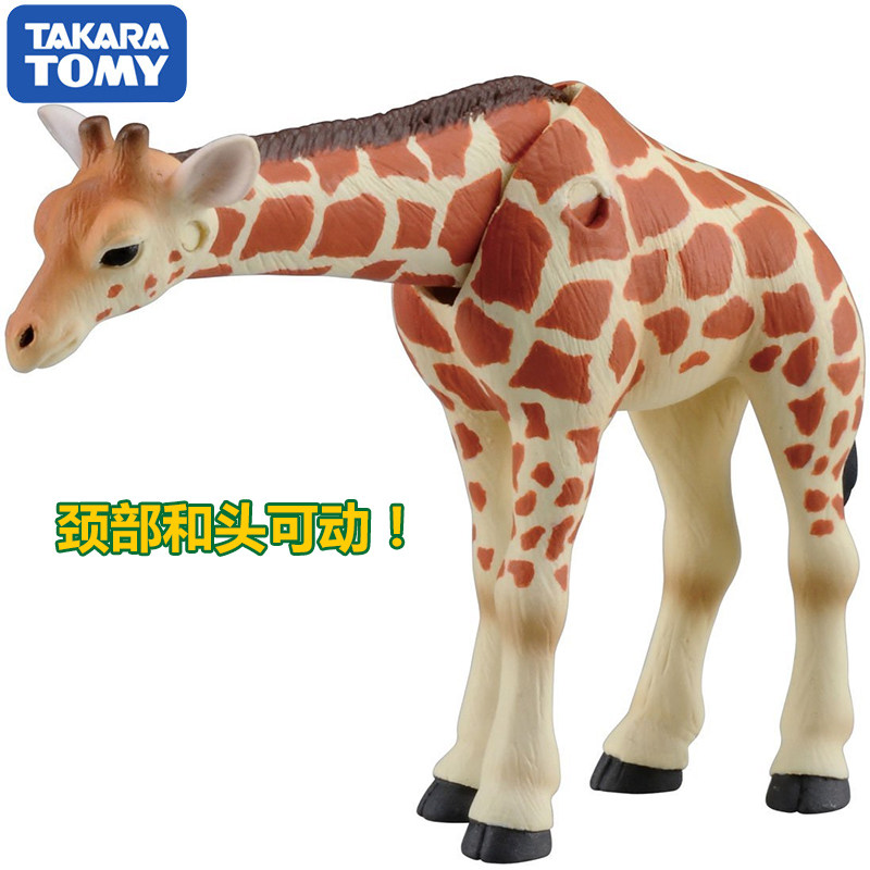 Original Takara Tomy Ania Gira - Kids Education Yes ulasan dan harga