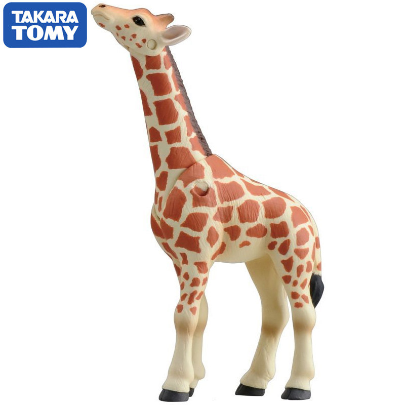 Original Takara Tomy Ania Gira - Kids Education Yes ulasan dan harga