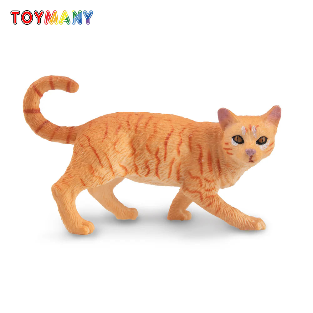 Toymany Simulation Striding Or - Kids Education Yes ulasan dan harga